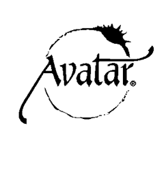 Avatar, Praktische Avatar Training, zelfontwikkeling, ervaringsgericht, herontdekken, bewustzijn, selfempowerment